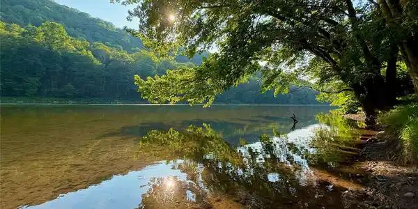 Image 4 Image 4