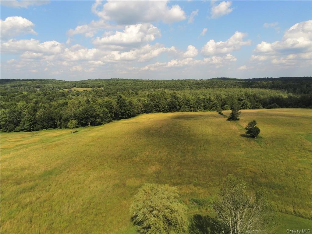 Image 3: Aerial View