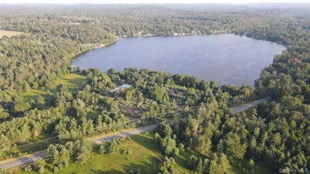 324 Acres Sackett Lake Road