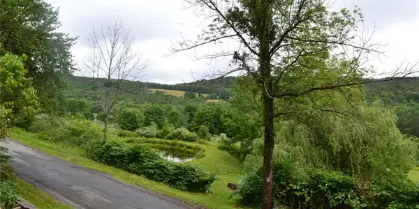Image 4 Image 4