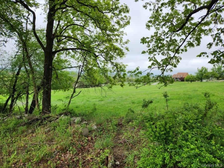 Image 4: Other Image 4: Other