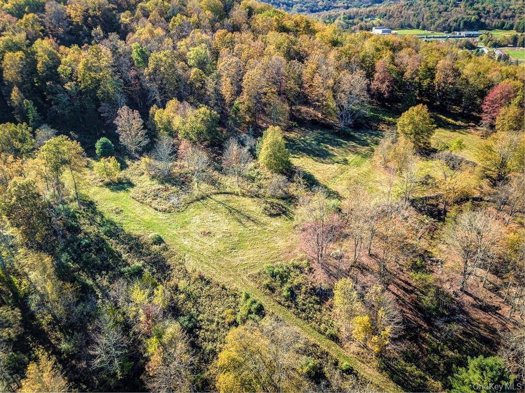 Image 4: Aerial View