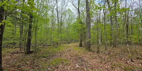 Lot 23.21 State Route 97