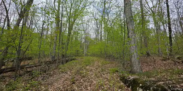 Image 4 Image 4