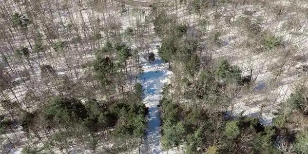 Image 4 Image 4