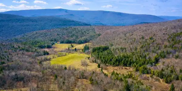 Hog Mountain