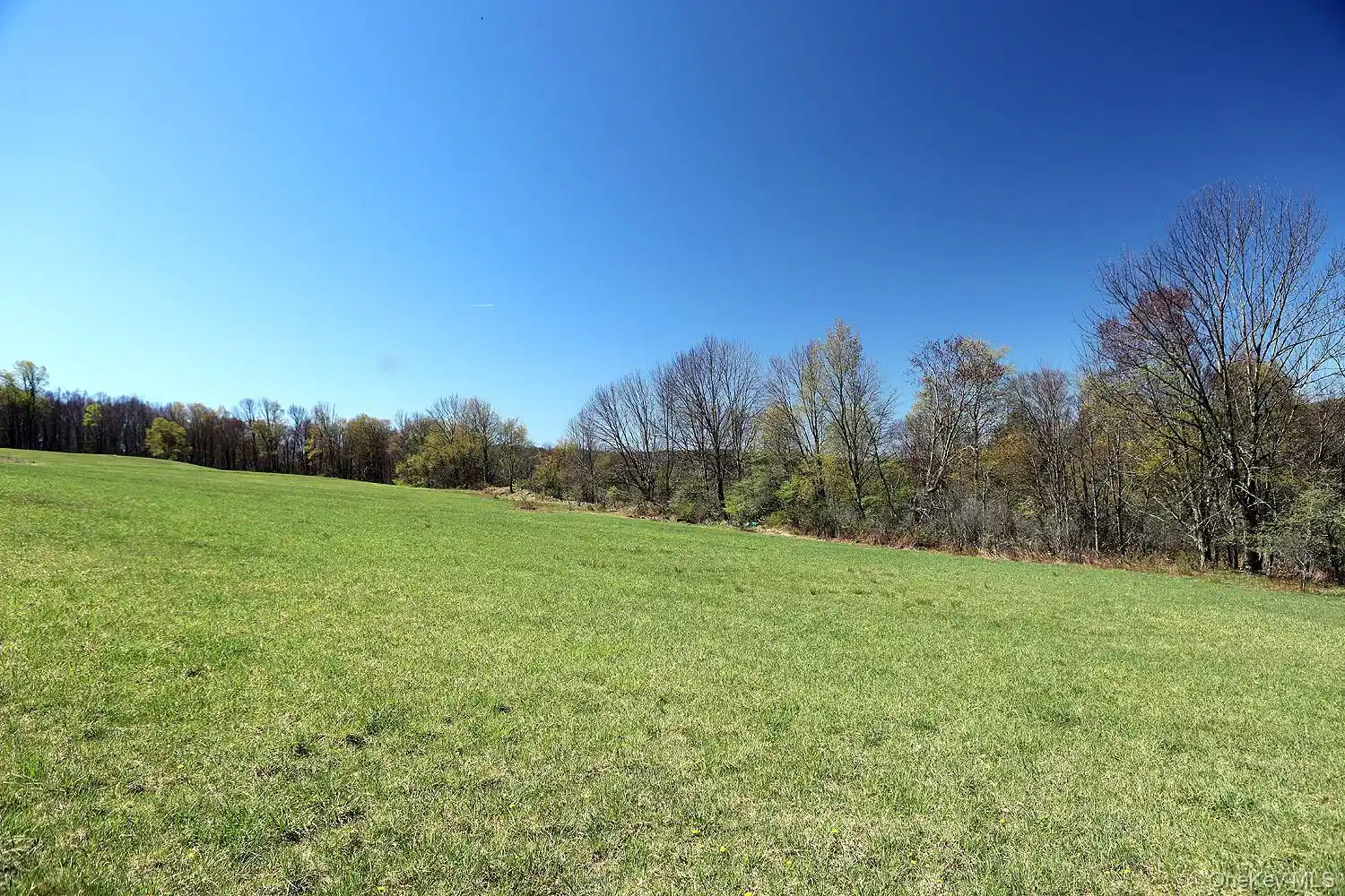 Image 1: View Image 1: View