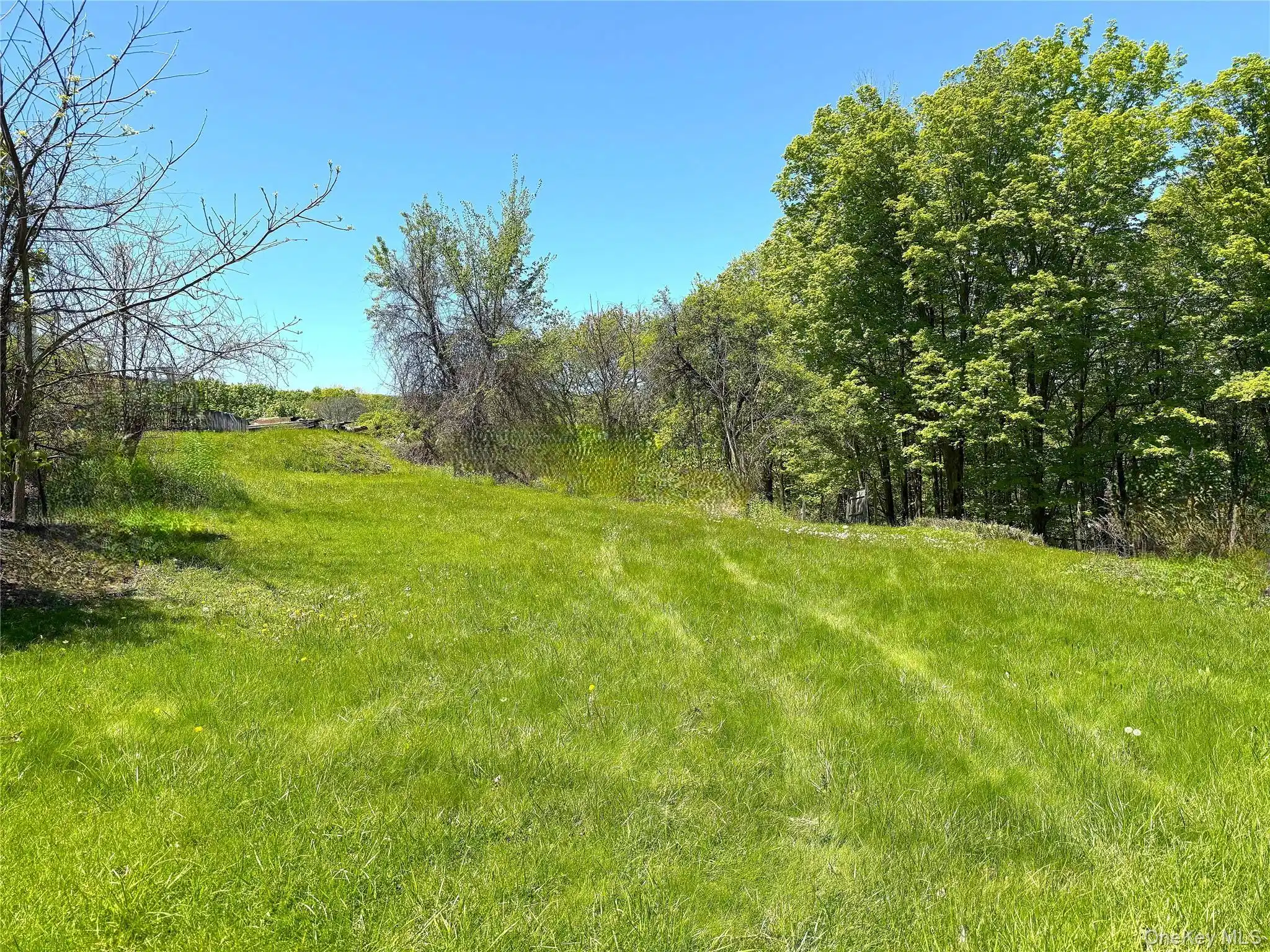 Image 1: Lot Image 1: Lot