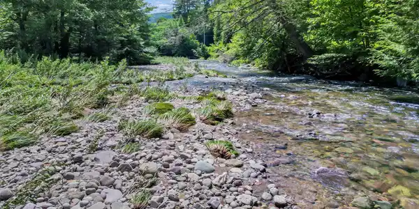 Image 3 Image 3