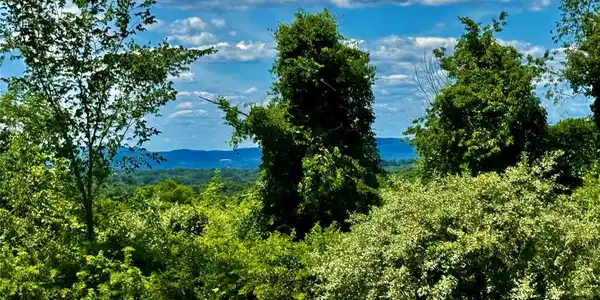 Image 3: View Image 3: View
