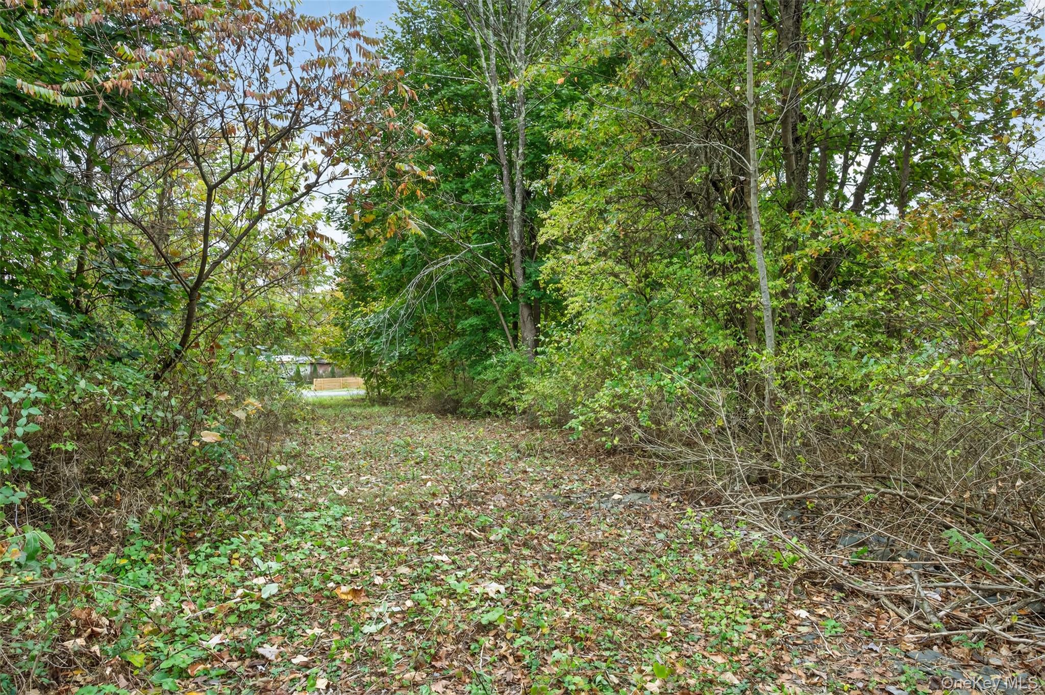 Image 4: Yard Image 4: Yard