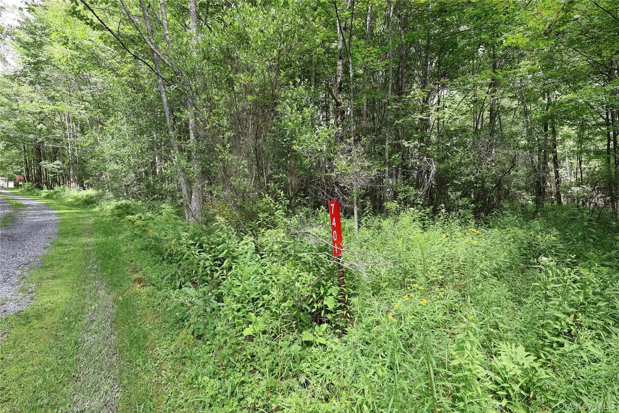 Image 1 Image 1