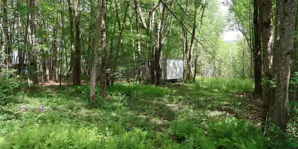 Image 2 Image 2