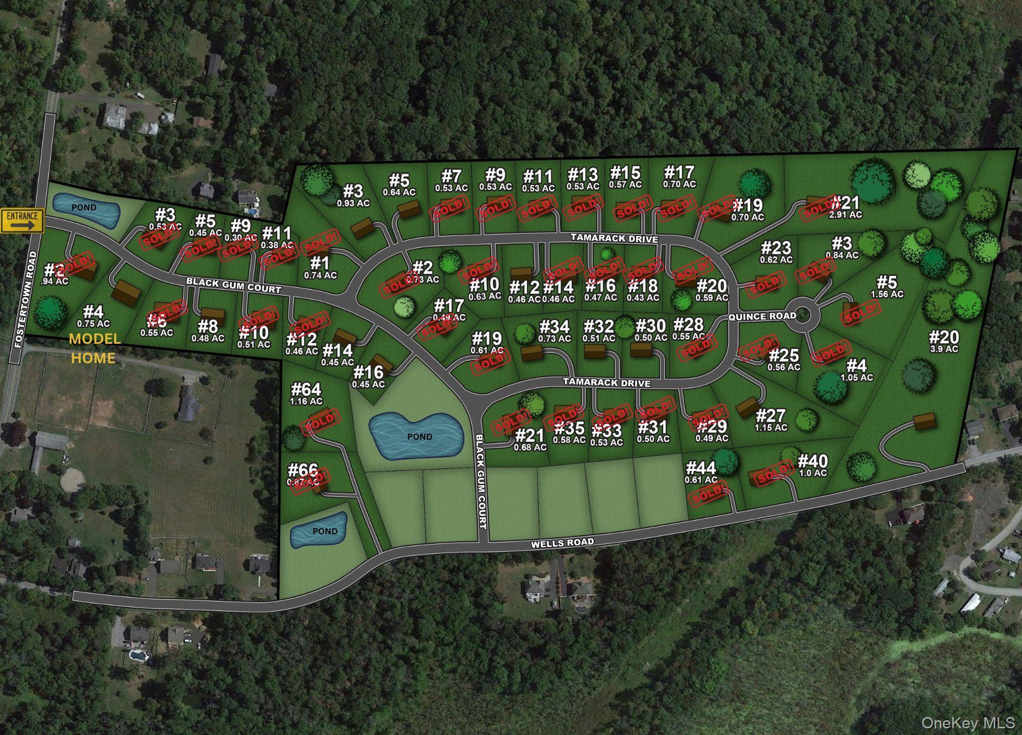 Image 4: Map