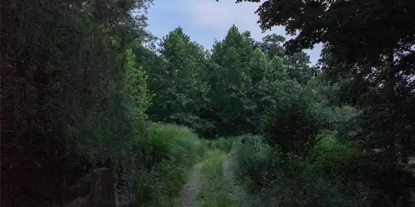 Image 2: View Image 2: View