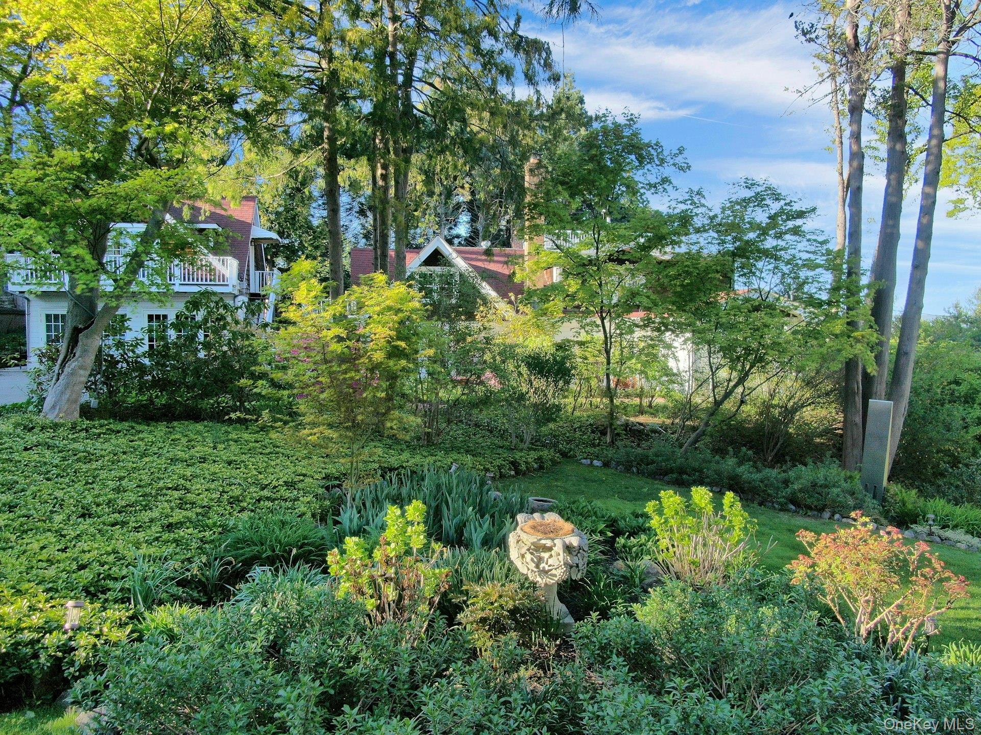 Image 4: Yard