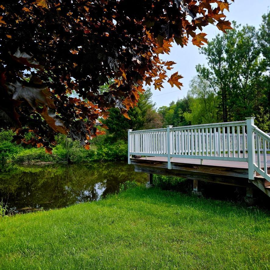 Image 2: Yard