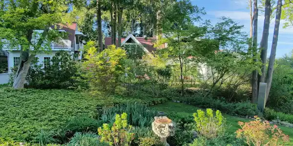 Image 4: Yard Image 4: Yard