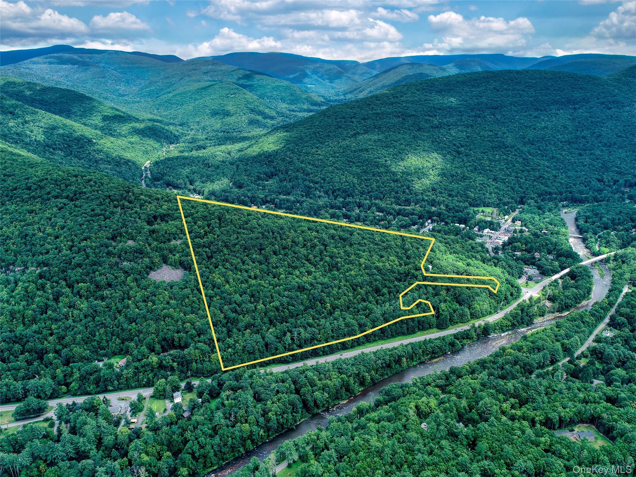 Image 1 Image 1