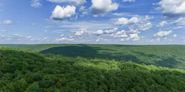 0 Wilderness Trail