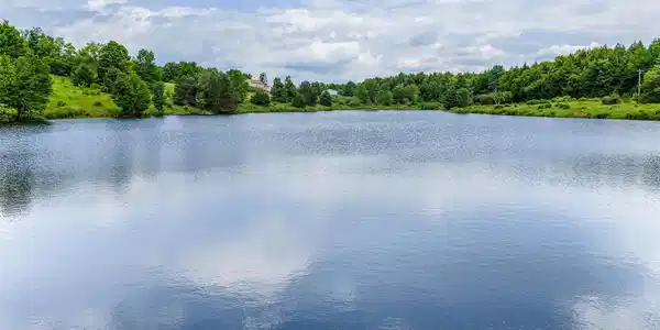 Image 3 Image 3