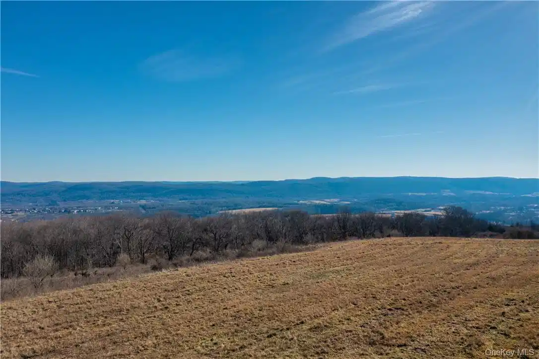 Image 1: View