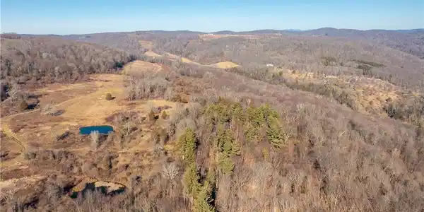 Image 4: Aerial View