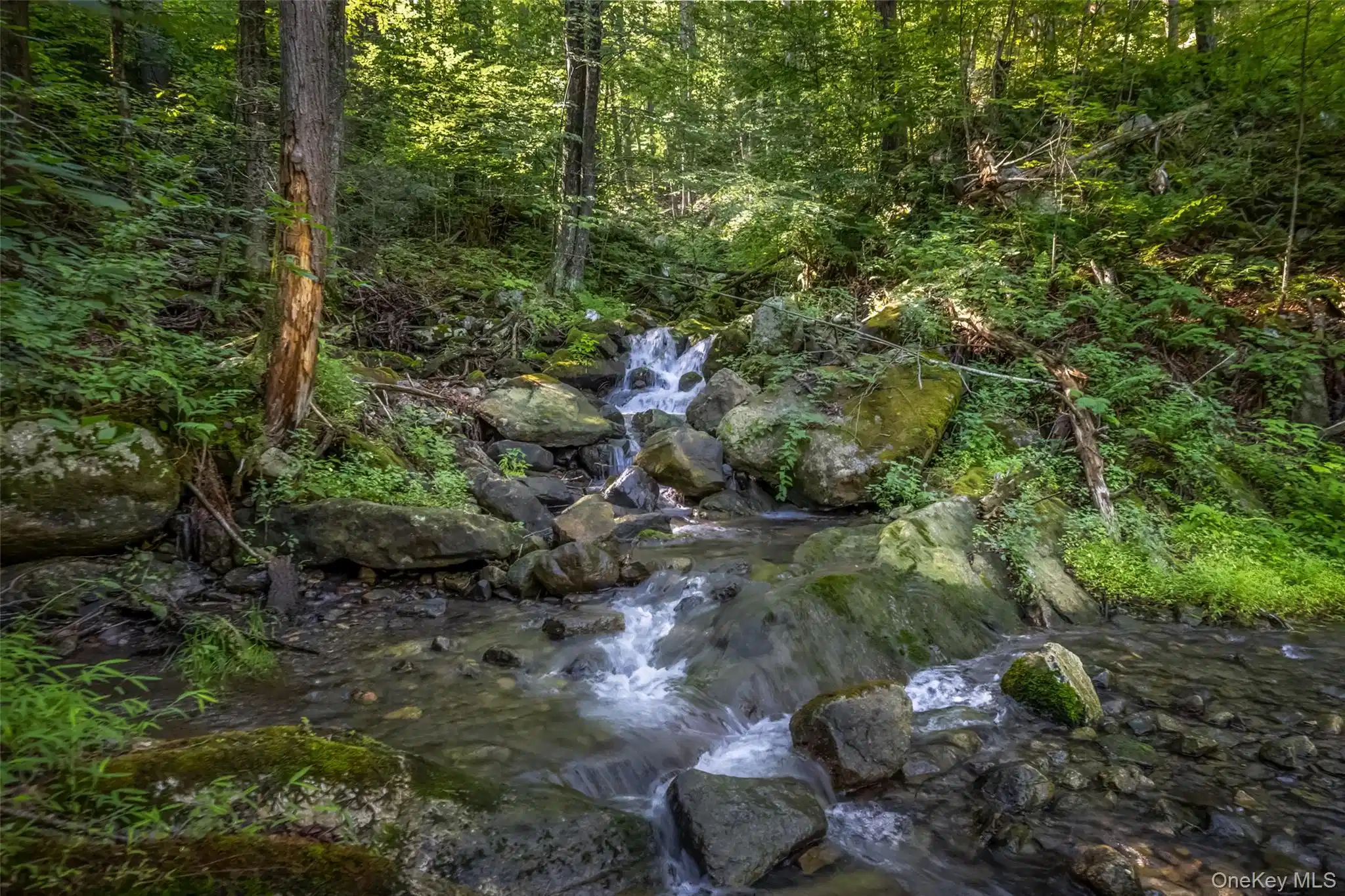 Image 1 Image 1