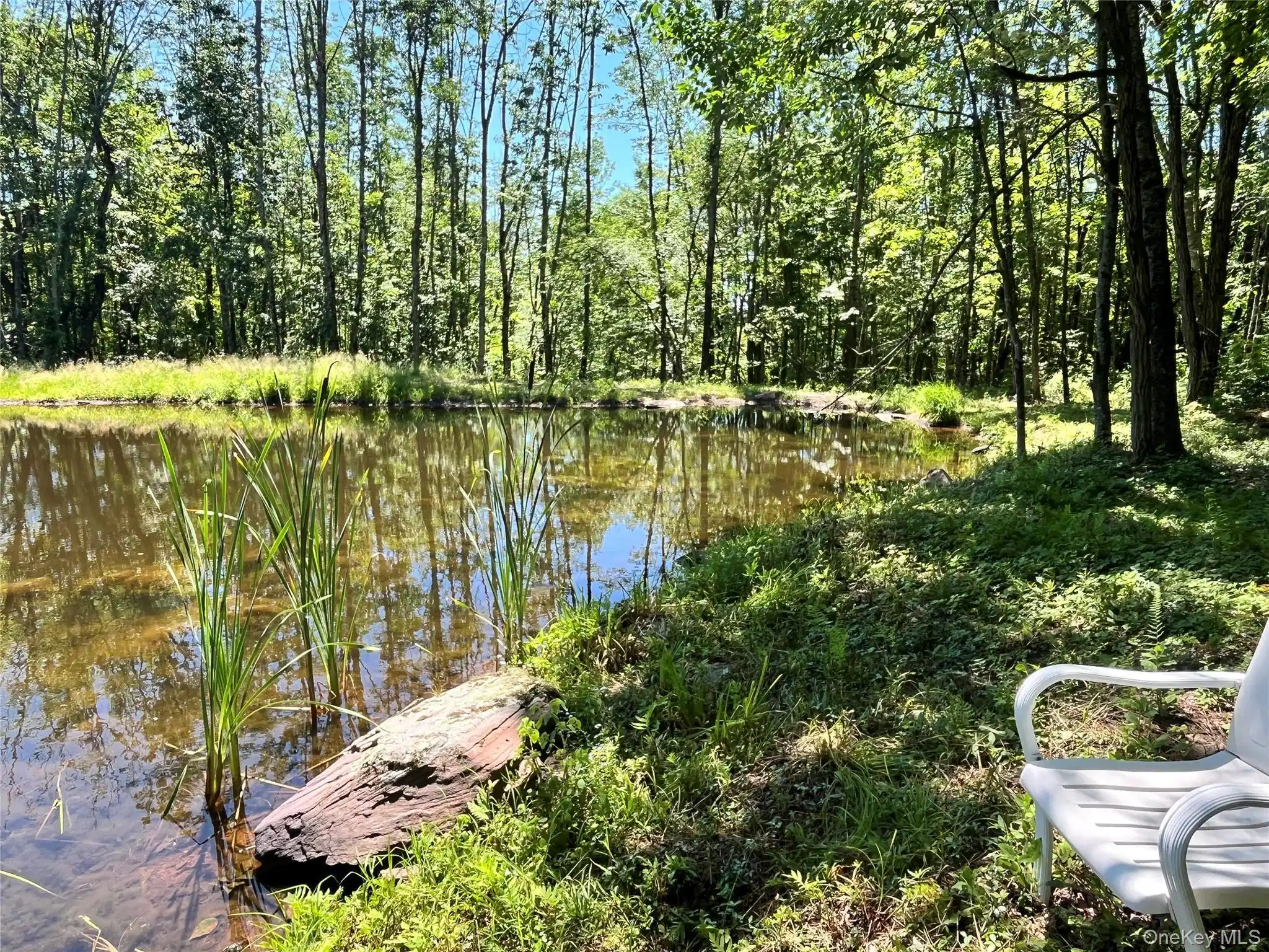 Image 1 Image 1