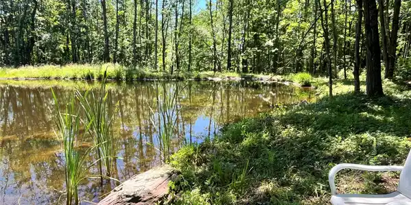 Upper Pond Dahlia Road W