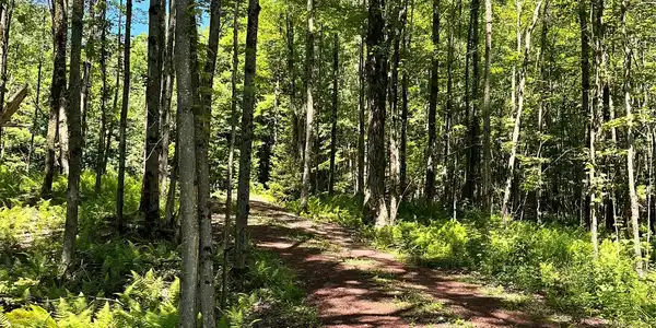 Image 3 Image 3