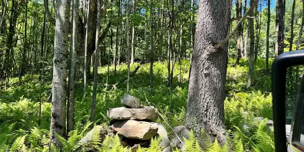 Image 4 Image 4