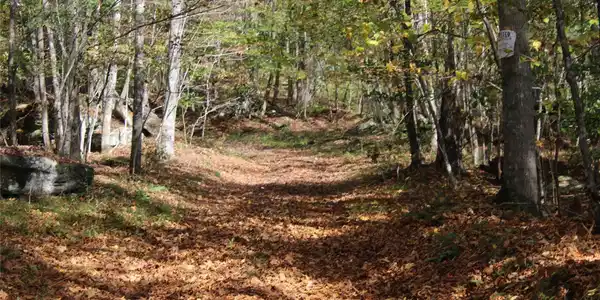 Image 2: Other Image 2: Other