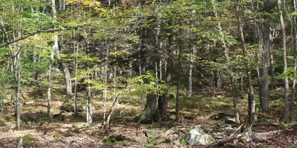Image 3: Other Image 3: Other