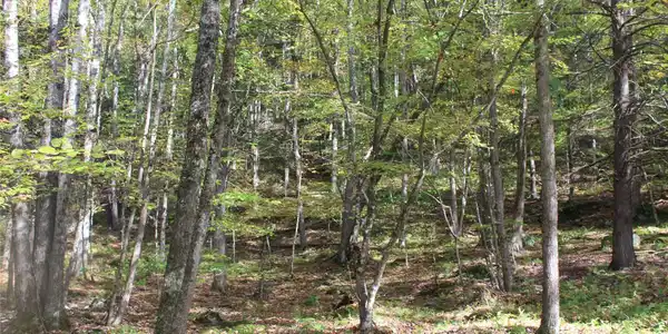 Image 4: Other Image 4: Other