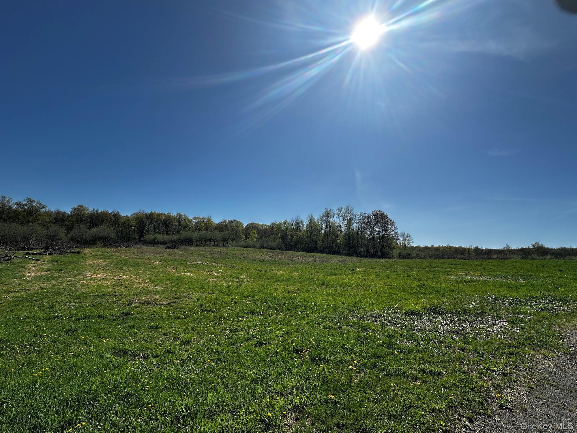 Image 1: Yard