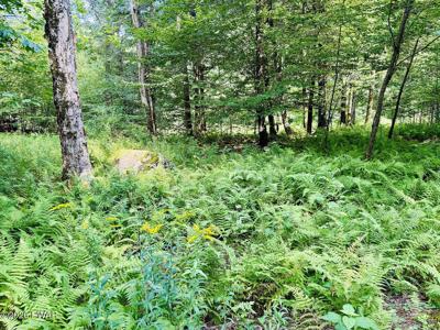 0 Callicoon Road