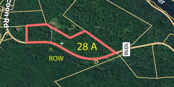 Image 4 Image 4
