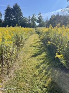 641 Spring Hill Road