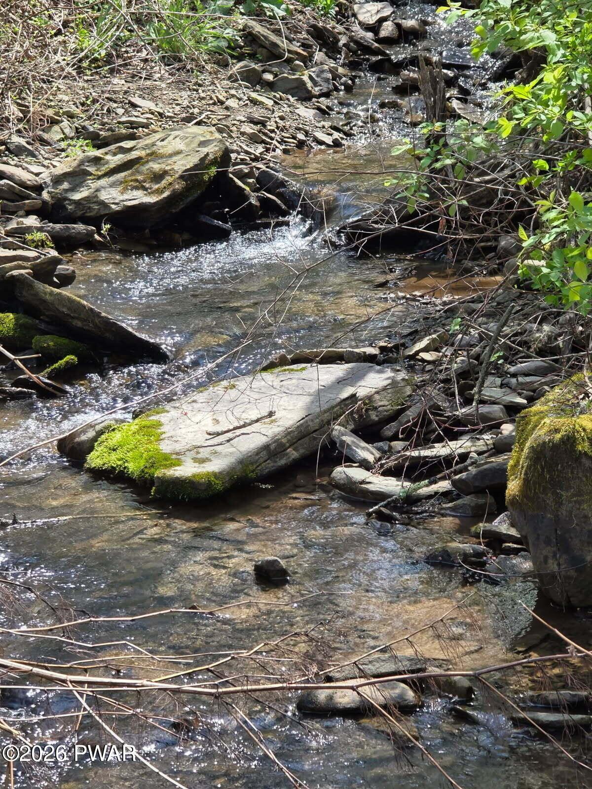 Image 4 Image 4