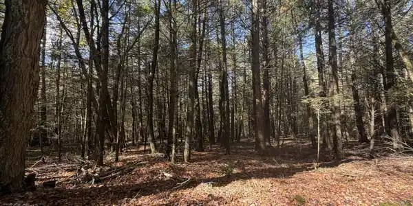 Image 4 Image 4