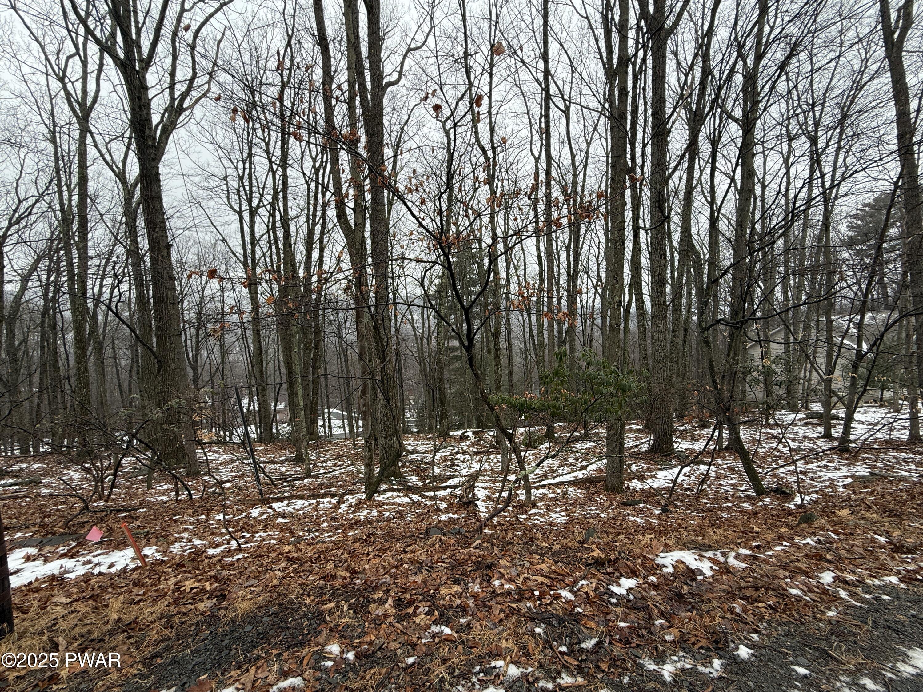Image 3 Image 3