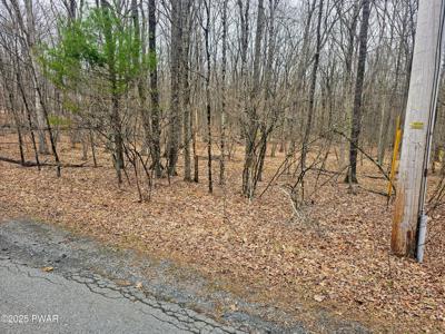 46 Hawks Nest Drive