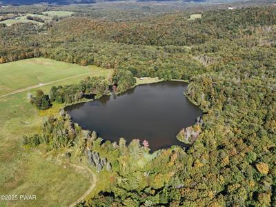 LOT 4 Skinny Dip Lane
