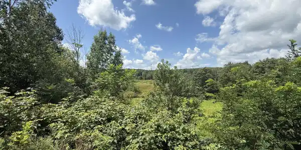Image 4 Image 4