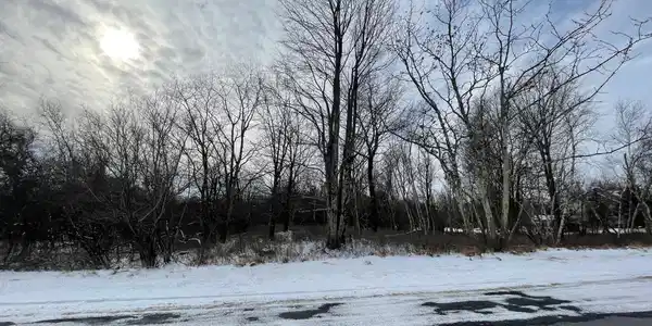 Image 2: Street View