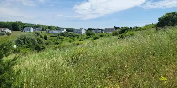 Dayne Drive