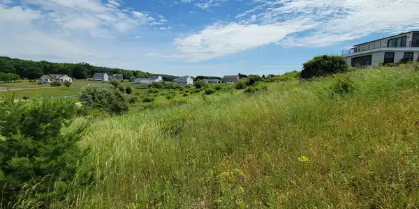 Image 2: Dayne Dr 2