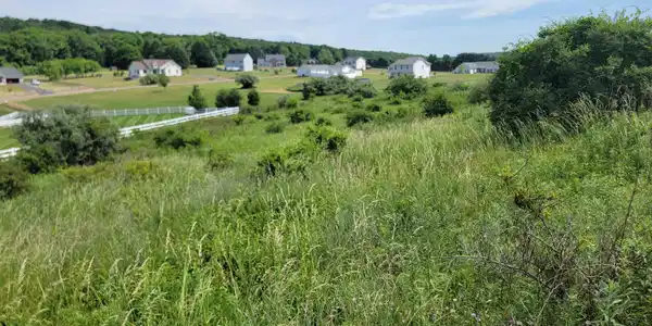 Image 4: Dayne Dr 4