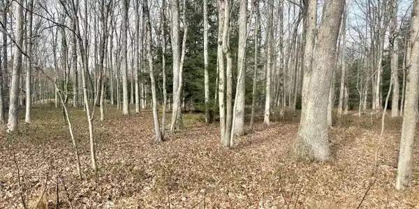 123 Towamensing Trail